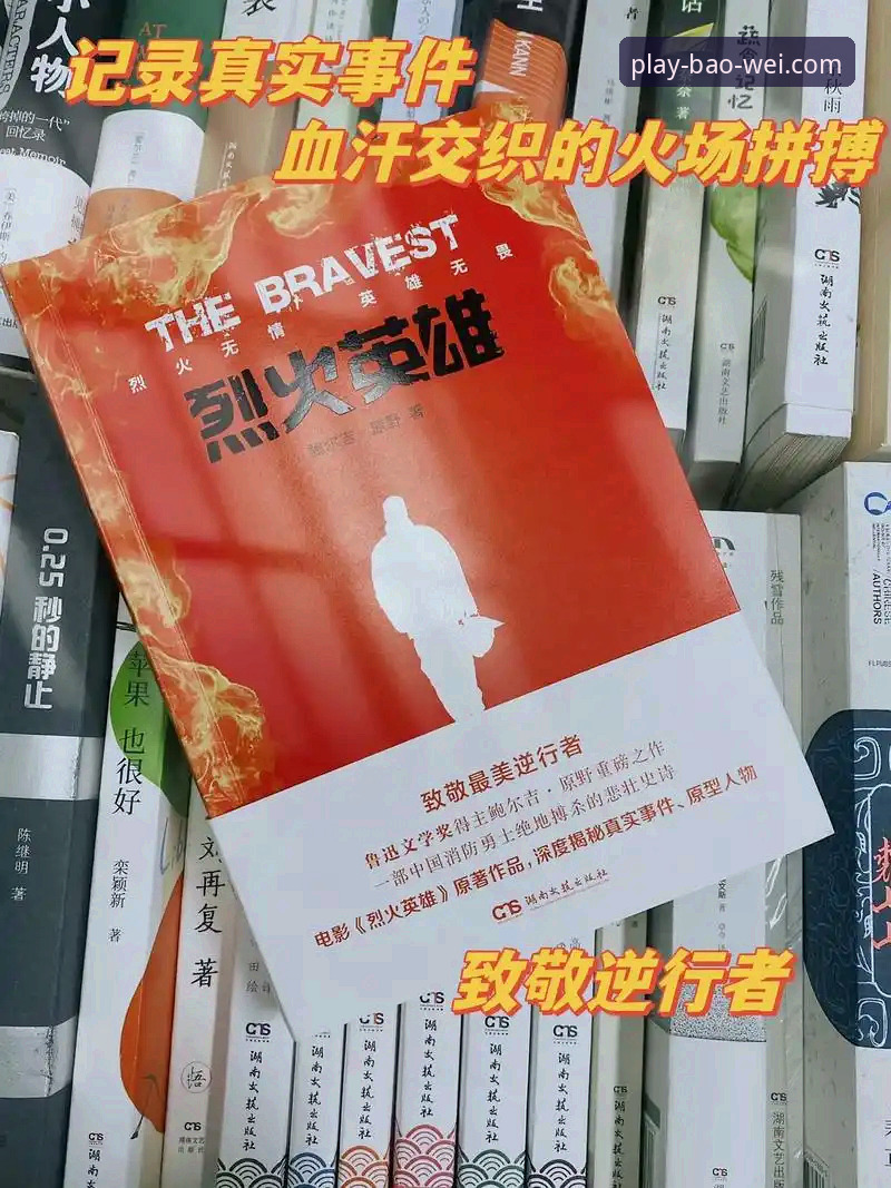 深度揭秘：宝威体育专业平台安装失败背后的五大真相与破解之道